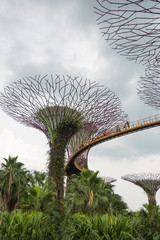 Fototapeta premium Singapore