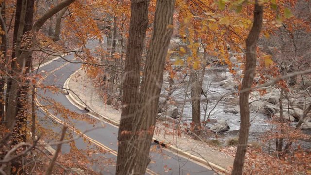 A southbound roller blader on Beach Drive next to Rock Creek, wide shot - Rock Creek Park - Washington, DC - Autumn