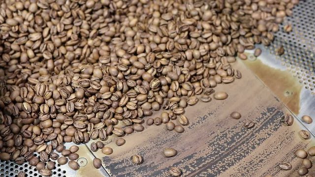 Fresh roasted coffee arabica beans have been cooled down in the cooling bin/tray after completed roasting process.