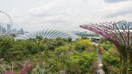 Fototapeta premium Singapore