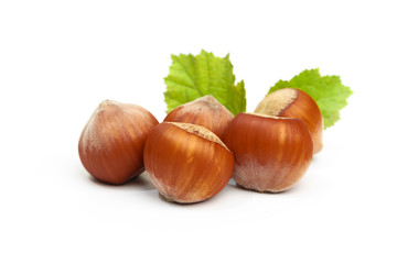 Hazelnut nut many leaves isolated on a white background as a packaging design element
