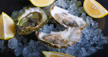 Fototapeta na wymiar Food. oysters on ice and lemon