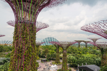 Fototapeta premium Singapore