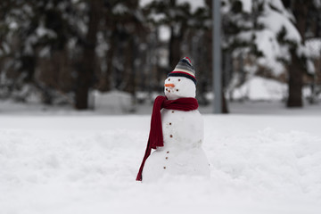 Snowman on a snow background