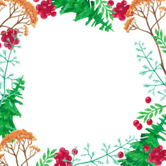 Watercolor frame background with Christmas tree, berry and winter branches. Hand drawn layout frame of winter elements. New Year and Merry Christmas Square composition of borders on white.