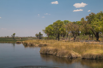 Channels in the Okavango Delta, Moremi game reserve, Botswana, Africa