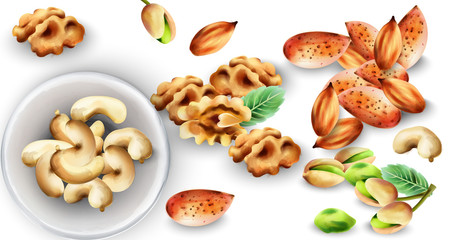 Watercolor set of organic nuts. Pistachio, cashew, walnut and almonds. Mint leaves decorations. Vector