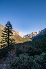 Obraz premium Yosemite National Park