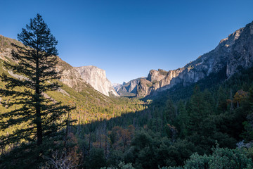 Fototapeta premium Yosemite National Park
