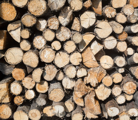 Stack of firewood