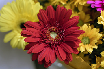 The combination of different colors in the bouquet, the game of colors.