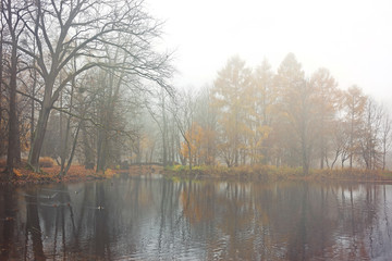 Fototapeta na wymiar Misty November day in a public park