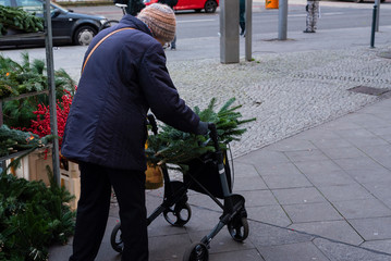 An old lady with walker buys pine branches for Christmas, old lady at a flower shop, Christmas time Grandma with Walker