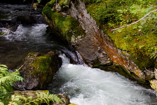 The roes lake stream - Fazzon, Pellizzano, Trentin (Italy)