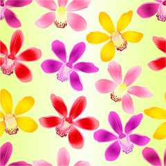 Fototapeta na wymiar Seamless texture Orchid Cymbidium green pink yellow white tropical flowers festive background vintage vector illustration editable hand draw