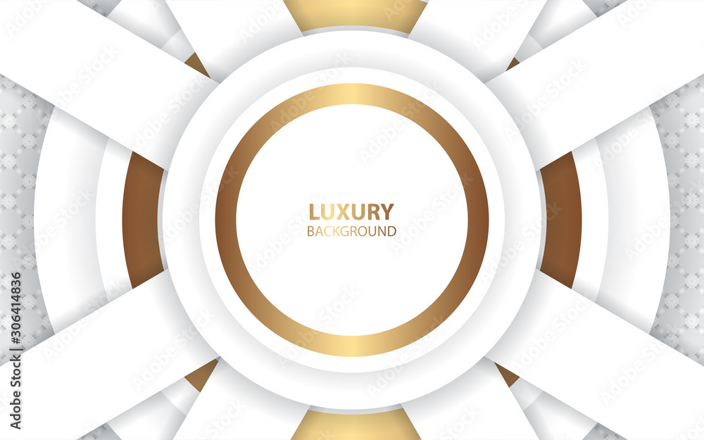 Poster modern abstract light silver background vector. elegant shape design with circle golden line. luxury