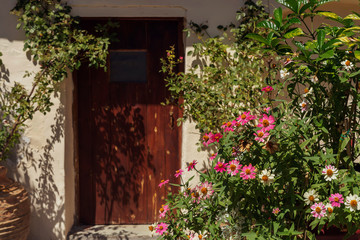 The background retro door and various plants and flowers