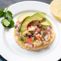 Mexican fish  ceviche with avocado on dark background