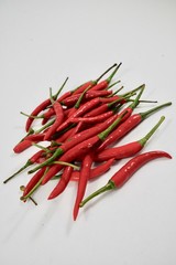 red hot chili on isolate white background