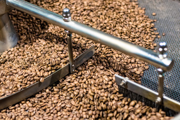 Fresh roasted coffee arabica beans have been cooled down in the cooling bin/tray after completed roasting process.