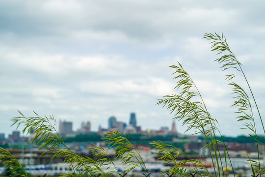 View Of Kansas City