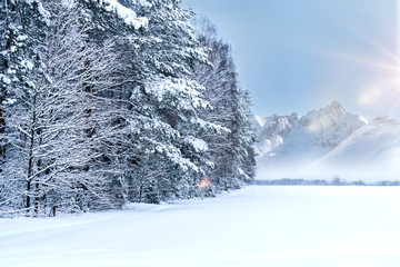 winter mountain landscape with snowy trees and blue sky.