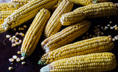 Yellow ears of corn against a dark background.