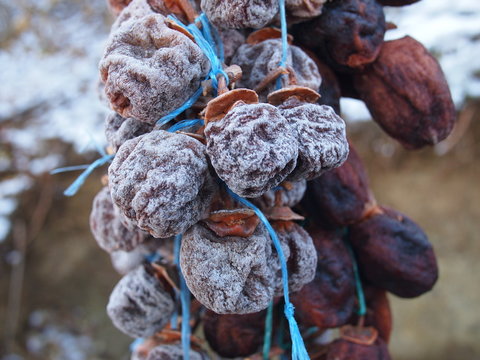 Dried date-plum, Caucasian persimmon, or lilac persimmon (Diospyros lotus) in Georgian village