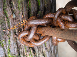 Rusty Chain Secured To A Wooden Post
