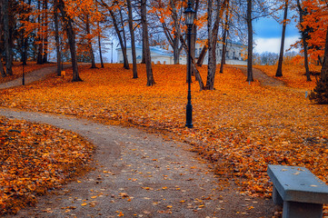 autumn in the park