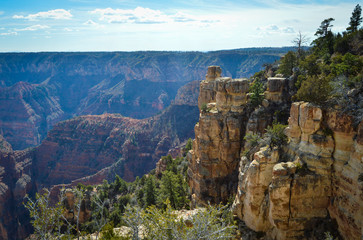 Incredible view of Colorado Canyon in North America