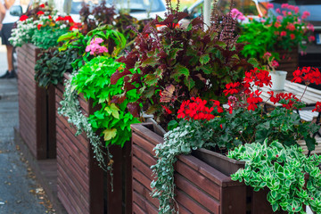 Fototapeta na wymiar restaurant patio fencing with flowers
