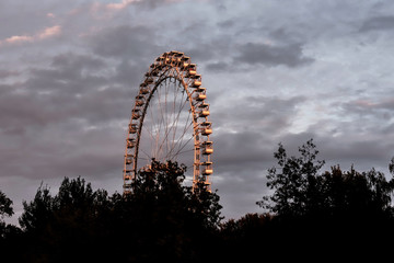 Ferris wheel in the park in backlighting at sunset