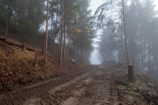 FORSTARBEITEN . FORSTSTRASSE . FORESTRY WORK . FOREST ROAD