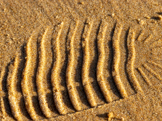 abstract sand texture suitable for background