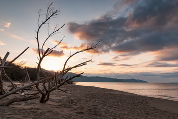 Parco della Maremma - Alberese