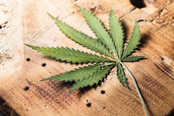 dried cannabis leaves on a old wooden cutting board