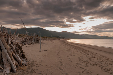 Parco della Maremma - Alberese