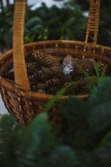 Decorative Christmas wreath with poinsettia, mistletoe leaves, fir branches and holly berries.