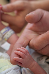 newborn hand holding adult finger