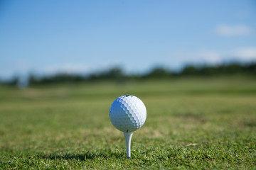 Beautiful green golf course with a golf ball in focus copy space mock up