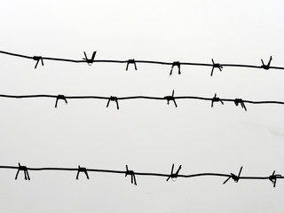 rusty barbed wire with raindrops on gray sky background