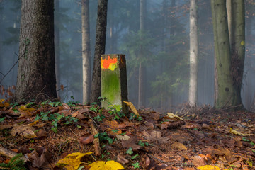 GRENZSTEIN . BOUNDARY STONE