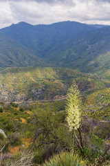 Fototapeta premium Mountains