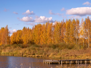 colorful autumn landscape by the lake, golden autumn, colorful trees and reflections