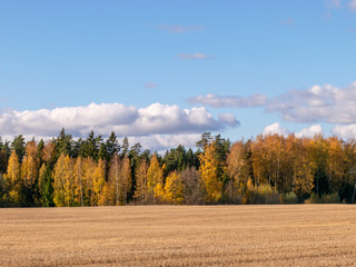 colorful autumn landscape by the lake, golden autumn, colorful trees and reflections