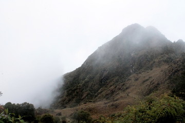 Obraz na płótnie Canvas niebla en el camino del inca
