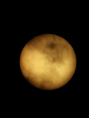 Sole © Steve Fossiant