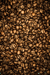 Coffee grains. Background of roasted coffee beans brown. layout