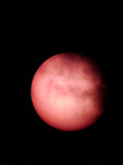 Fototapeta premium Sole